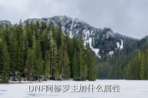 DNF阿修罗主加什么属性