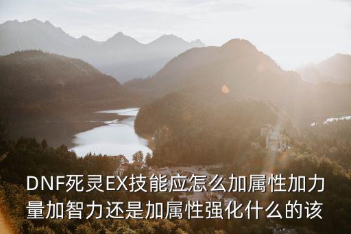 DNF死灵EX技能应怎么加属性加力量加智力还是加属性强化什么的该