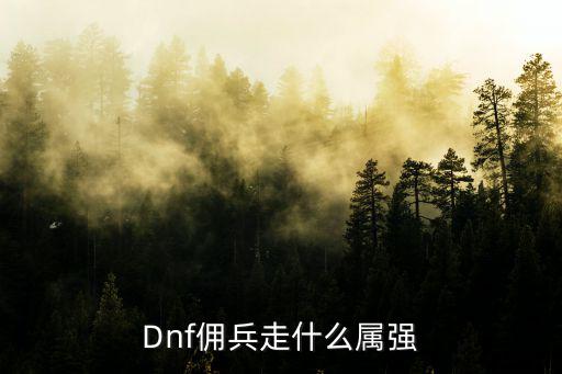 dnf战场佣兵什么属性，Dnf佣兵走什么属强