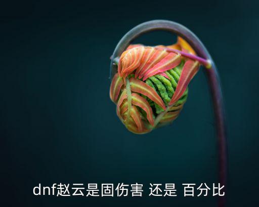 dnf赵云是固伤害 还是 百分比