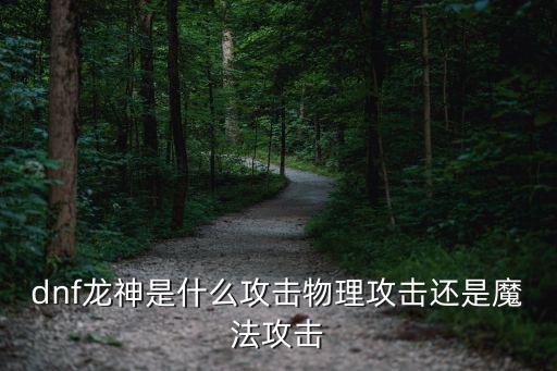 dnf龙神是什么攻击物理攻击还是魔法攻击