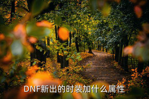 dnf时装加什么属性，DNF新出的时装加什么属性