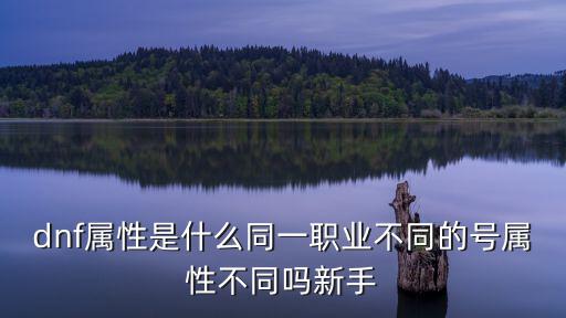 dnf属性是什么同一职业不同的号属性不同吗新手