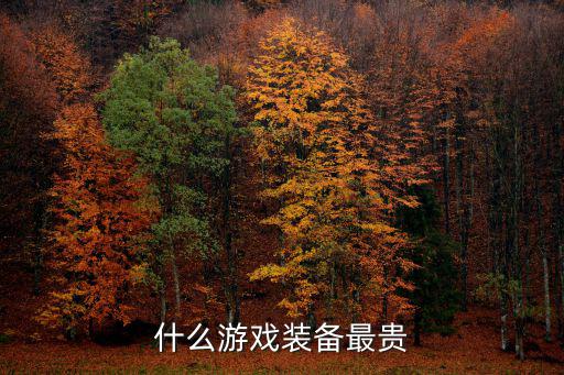 什么游戏装备最贵