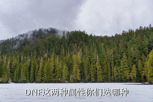 dnf赋予什么属性好，DNF这两种属性你们选哪种