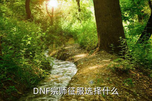 dnf宗师吃什么属性，dnf宗师强化什么属性