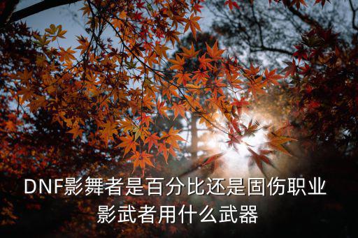 dnf影舞者什么属性武器，dnf影舞者走什么属强