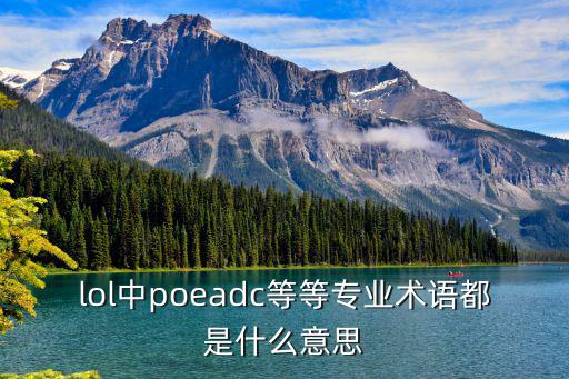 lol中poeadc等等专业术语都是什么意思