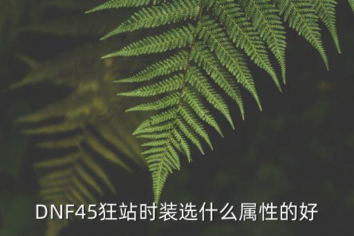 DNF45狂站时装选什么属性的好