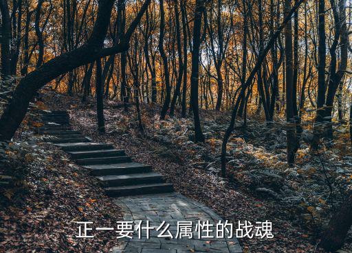 正一要什么属性的战魂