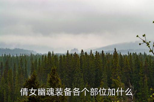 倩女幽魂装备各个部位加什么