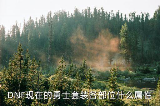 DNF现在的勇士套装各部位什么属性