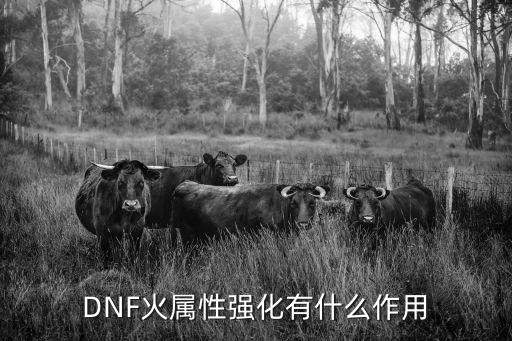 dnf火属性有什么效果，DNF火属性攻击会对怪造成什么效果