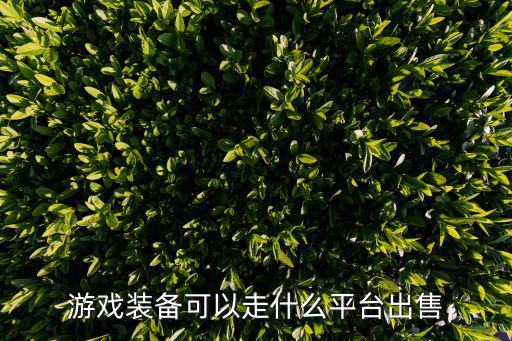 游戏装备可以走什么平台出售