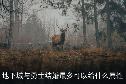 地下城与勇士结婚最多可以给什么属性