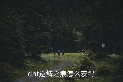 dnf逆鳞之痕怎么获得