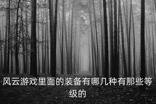 风云游戏里面的装备有哪几种有那些等级的