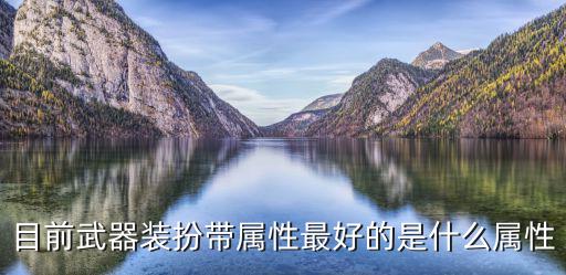 目前武器装扮带属性最好的是什么属性