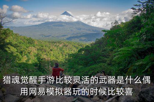 猎魂觉醒手游比较灵活的武器是什么偶用网易模拟器玩的时候比较喜