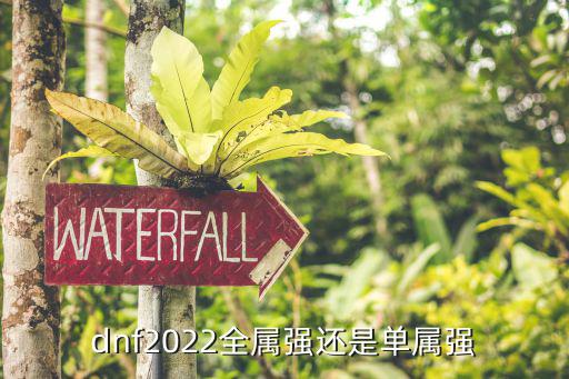 dnf2022全属强还是单属强