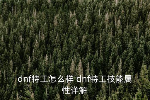 特工dnf什么属性，dnf特工走什么属强好