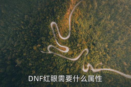 DNF红眼需要什么属性