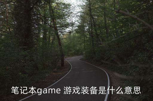 笔记本game 游戏装备是什么意思