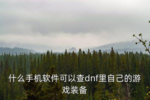怎么看自己的游戏装备是什么，什么手机软件可以查dnf里自己的游戏装备