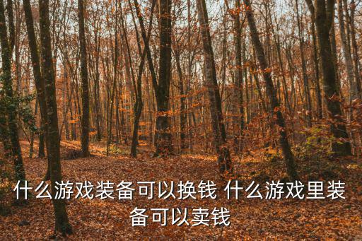 什么游戏装备可以换钱 什么游戏里装备可以卖钱