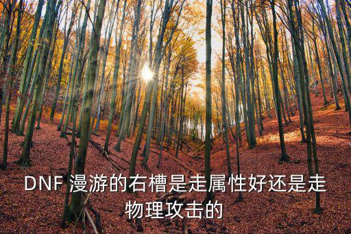 DNF 漫游的右槽是走属性好还是走物理攻击的
