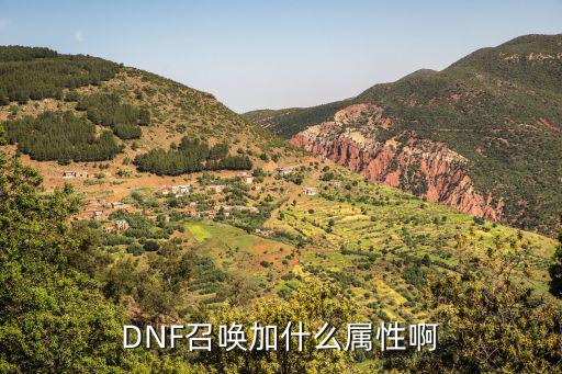 dnf召唤叠什么属性，DNF召唤加什么属性啊