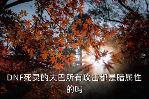 DNF死灵的大巴所有攻击都是暗属性的吗