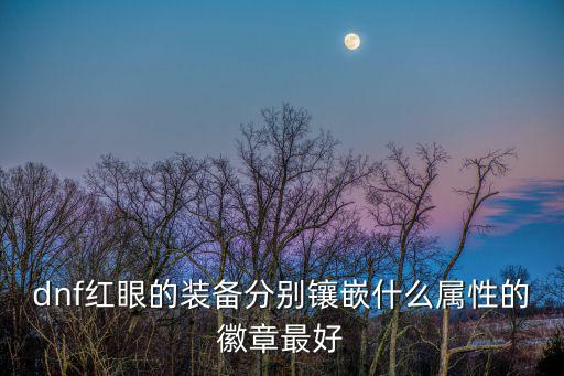 dnf红眼的装备分别镶嵌什么属性的徽章最好