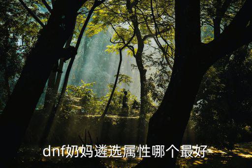 dnf奶妈遴选属性哪个最好