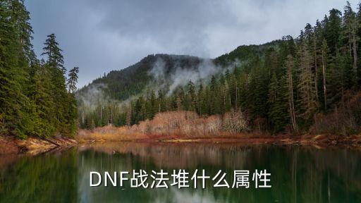 dnf战法选什么属性，DNF战法堆什么属性