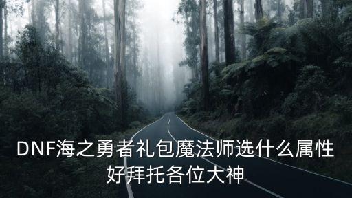 DNF海之勇者礼包魔法师选什么属性好拜托各位大神