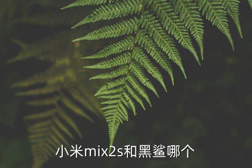 小米mix2s和黑鲨哪个