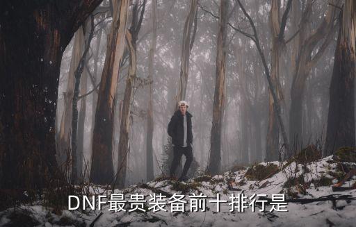DNF最贵装备前十排行是