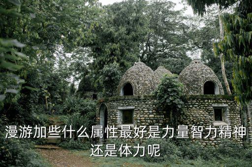 dnf漫游附什么属性，漫游枪手主要加什么属性