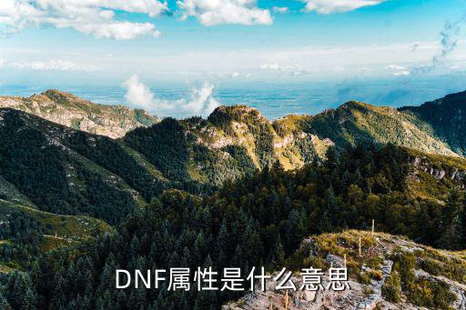 DNF属性是什么意思