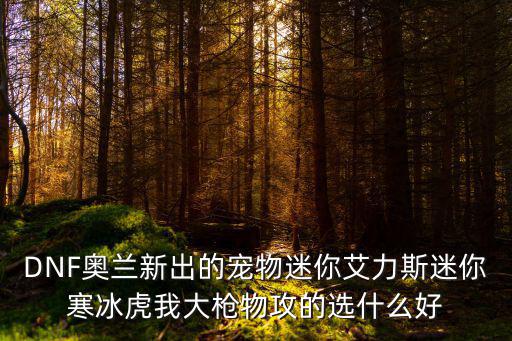 DNF奥兰新出的宠物迷你艾力斯迷你寒冰虎我大枪物攻的选什么好