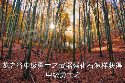 龙之谷中级勇士之武器强化石怎样获得 中级勇士之