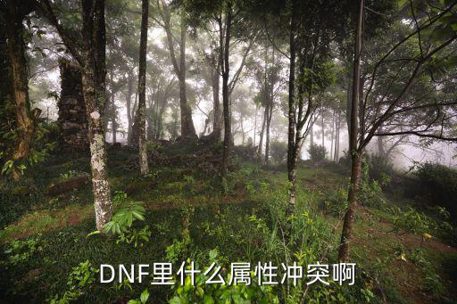 dnf什么属性才冲突，DNF里什么属性冲突啊