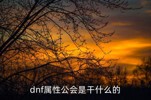 dnf属性公会是干什么的