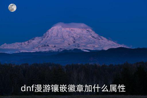 dnf漫游镶嵌徽章加什么属性