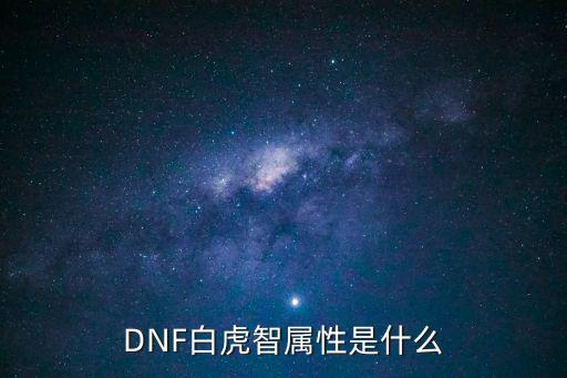 dnf白虎什么属性，DNF白虎智属性是什么