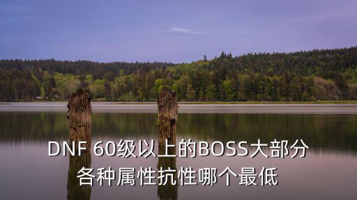 DNF 60级以上的BOSS大部分各种属性抗性哪个最低