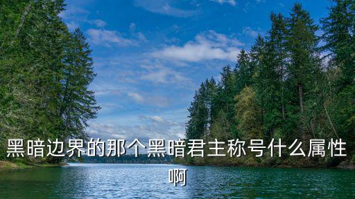 黑暗边界的那个黑暗君主称号什么属性啊