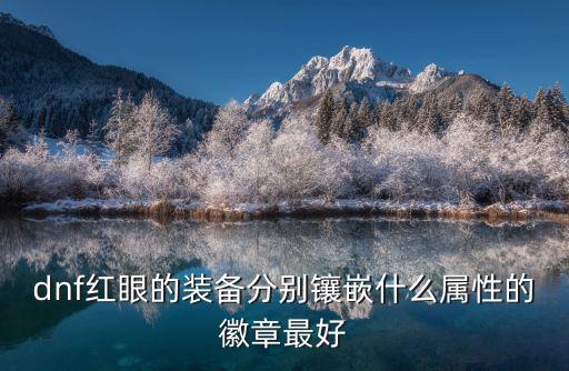 dnf徽章属性选什么，dnf红眼的装备分别镶嵌什么属性的徽章最好