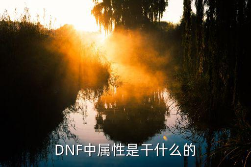 DNF中属性是干什么的